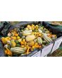 The Ultimate Gourd Seed Mix