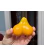 Tomato 'Buratino' AKA 'Yellow Pinocchio' Seeds (Certified Organic)