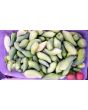 Caigua / Slipper Gourd Seeds (Certified Organic) 