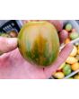 Tomato 'Coeur de Surpriz' Seeds (Certified Organic)