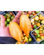 Tomato 'Buratino' AKA 'Yellow Pinocchio' Seeds (Certified Organic)