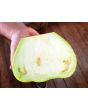Eggplant ‘Saitama Ao Daimaru’ Seeds (Certified Organic)