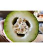 Mao Qua AKA Fuzzy Gourd 