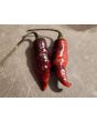 Hot Pepper ‘Biquinho Black Cross' Seeds (Certified Organic)