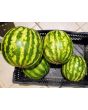 Watermelon 'Crimson Sweet'