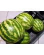 Watermelon 'Crimson Sweet'