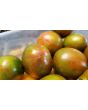 Tomato 'Coeur de Surpriz' Seeds (Certified Organic)
