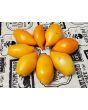 Tomato 'Buratino' AKA 'Yellow Pinocchio' Seeds (Certified Organic)