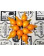 Tomato 'Mila's Orange Pear' Seeds (Certified Organic)