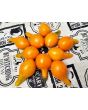 Tomato 'Mila's Orange Pear' Seeds (Certified Organic)