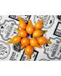 Tomato 'Mila's Orange Pear' Seeds (Certified Organic)