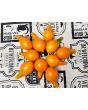 Tomato 'Mila's Orange Pear' Seeds (Certified Organic)