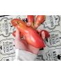 Tomato 'Pink Fang' Seeds (Certified Organic)