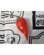 Hot Pepper 'Orion RED CROSS' Seeds (Certified Organic)