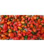 Hot Pepper ‘Chiltepin x Habanero' Seeds (Certified Organic)
