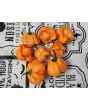 Hot Pepper ‘Scotch Bonnet Freeport Orange’ Seeds (Certified Organic)
