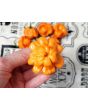 Hot Pepper ‘Scotch Bonnet Freeport Orange’ Seeds (Certified Organic)