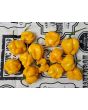 Hot Pepper 'Papa Dreadie Scotch Bonnet' Seeds (Certified Organic)
