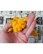 Hot Pepper 'Papa Dreadie Scotch Bonnet' Seeds (Certified Organic)