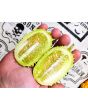 West Indian Burr Gherkin Seeds (Certified Organic) 