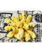 Hot Pepper 'White Ghostly Jalapeno' Seeds (Certified Organic)