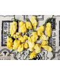 Hot Pepper 'White Ghostly Jalapeno' Seeds (Certified Organic)