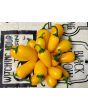 Hot Pepper 'NuMex Lemon Spice Jalapeno' Seeds (Certified Organic)