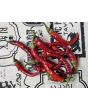 Hot Pepper ‘Buena Mulata' Seeds (Certified Organic)