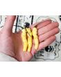 Hot Pepper ‘Aribibi Gusano' AKA 'Caterpillar Pepper' Seeds (Certified Organic)