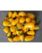 Hot Pepper 'NuMex Lemon Spice Jalapeno' Seeds (Certified Organic)