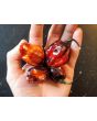 Hot Pepper '7 Pot Black’ Seeds (Certified Organic)