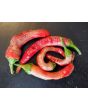 Pepper 'Vesena' Hot Pepper ‘Rezha Macedonian’ 