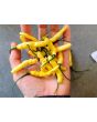 Hot Pepper ‘Aribibi Gusano' AKA 'Caterpillar Pepper' Seeds (Certified Organic)