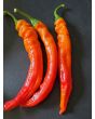Hot Pepper ‘Jalapeno Chernobyl' Seeds (Certified Organic)