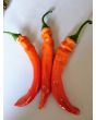 Hot Pepper ‘Jalapeno Chernobyl' Seeds (Certified Organic)