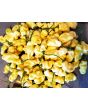 Hot Pepper 'White Ghostly Jalapeno' Seeds (Certified Organic)