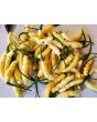 Hot Pepper ‘Aribibi Gusano' AKA 'Caterpillar Pepper' Seeds (Certified Organic)