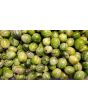 Tzimbalo Melon Pear Seeds (Certified Organic)