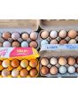 Farm Fresh Eggs Howell, Michigan