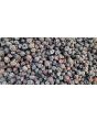 Black Raspberry Seeds (Certified Organic)