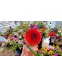 Dahlia 'Red Pompon' Tubers - Shipping 2025 Spring - Harvested on our Farm - USDA Certified Organic