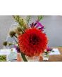 Dahlia 'Red Pompon' Tubers - Shipping 2025 Spring - Harvested on our Farm - USDA Certified Organic