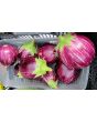 Eggplant ‘Purple & White Striped’ Seeds (Certified Organic)