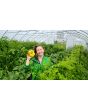 Tomato 'Yellow Flesh Red Interior" Seeds (Certified Organic)