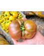 Tomato 'German Black' Seeds (Certified Organic)