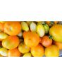 Tomato 'Apricot Zebra' Seeds (Certified Organic)