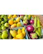 Tomatillo 'Chupon de Malinalco' Seeds (Certified Organic)