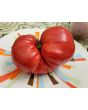 Tomato 'Russian Rose' Seeds (Certified Organic)