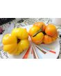 Tomato 'Yellow Flesh Red Interior" Seeds (Certified Organic)
