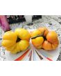 Tomato 'Yellow Flesh Red Interior" Seeds (Certified Organic)